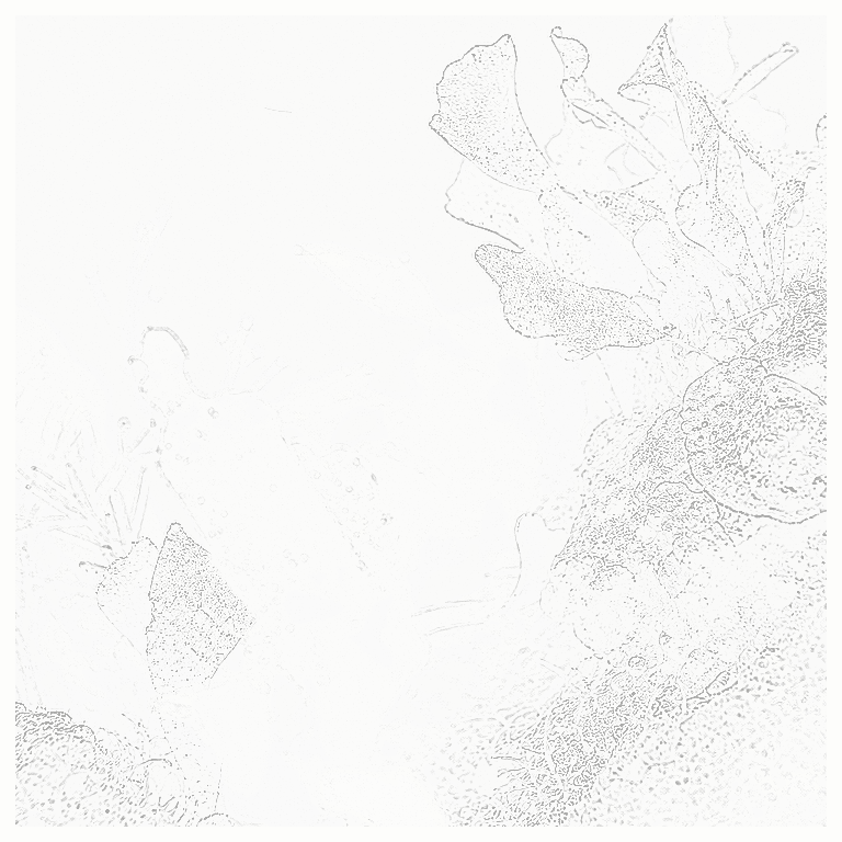 Reference image for Algae