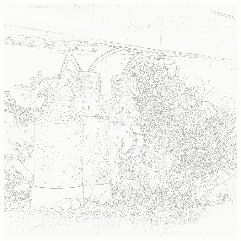 Reference image for Pods and Phyto