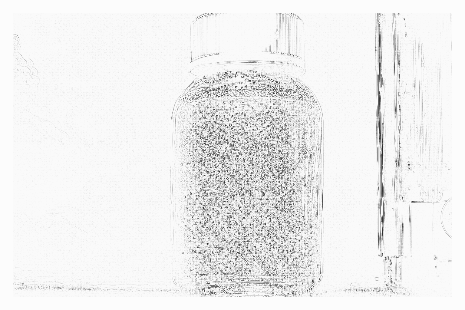 Reference image for Phytoplankton