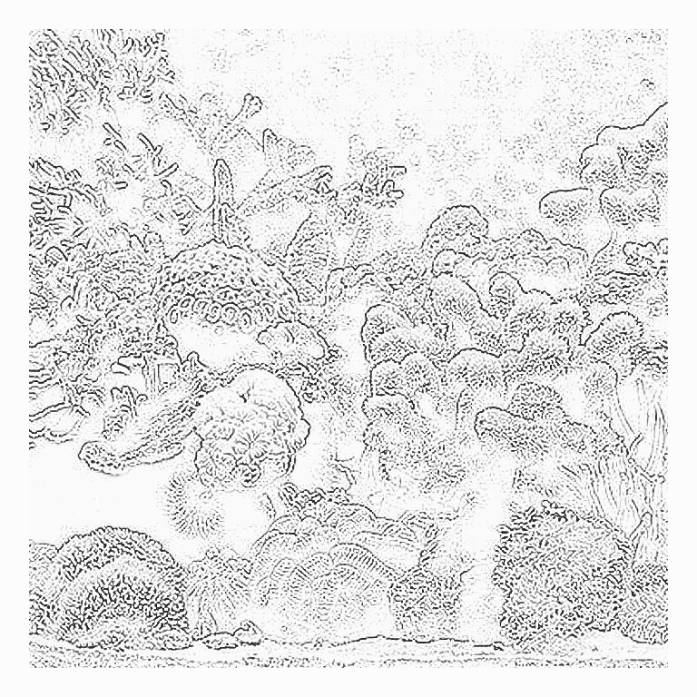 Reference image for Coral