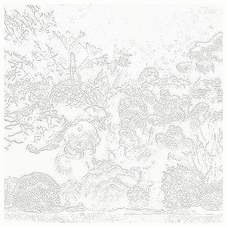 Reference image for Coral