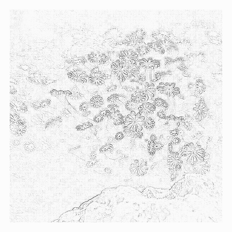 Reference image for Alveopora