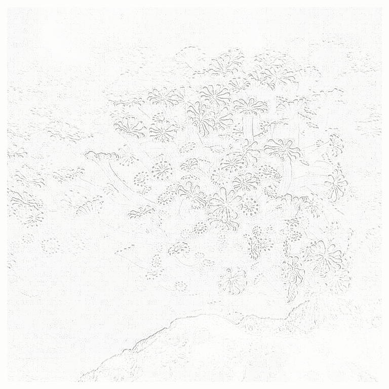 Reference image for Alveopora