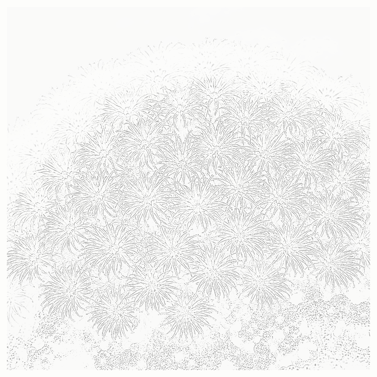Reference image for Goniopora