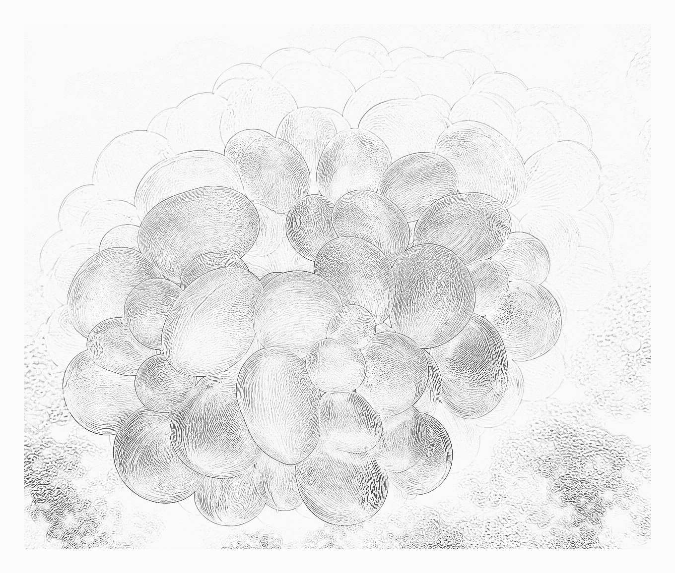 Reference image for Other LPS
