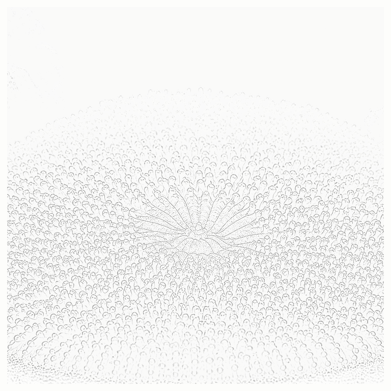 Reference image for Plate Coral