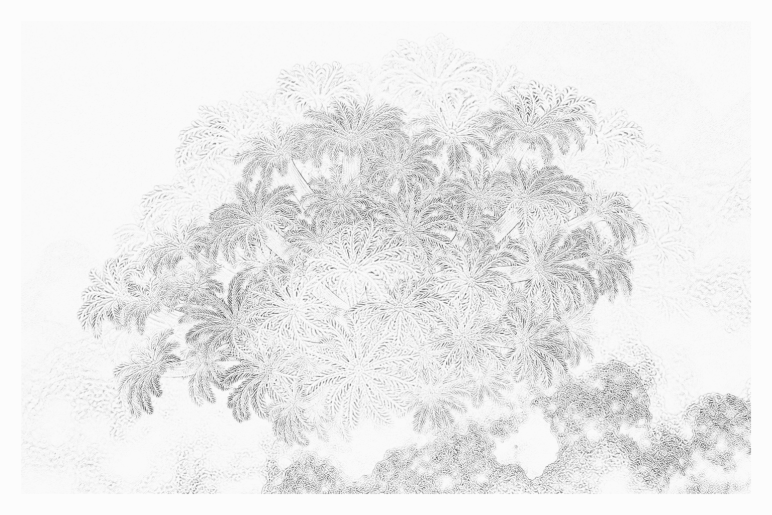 Reference image for Soft Coral