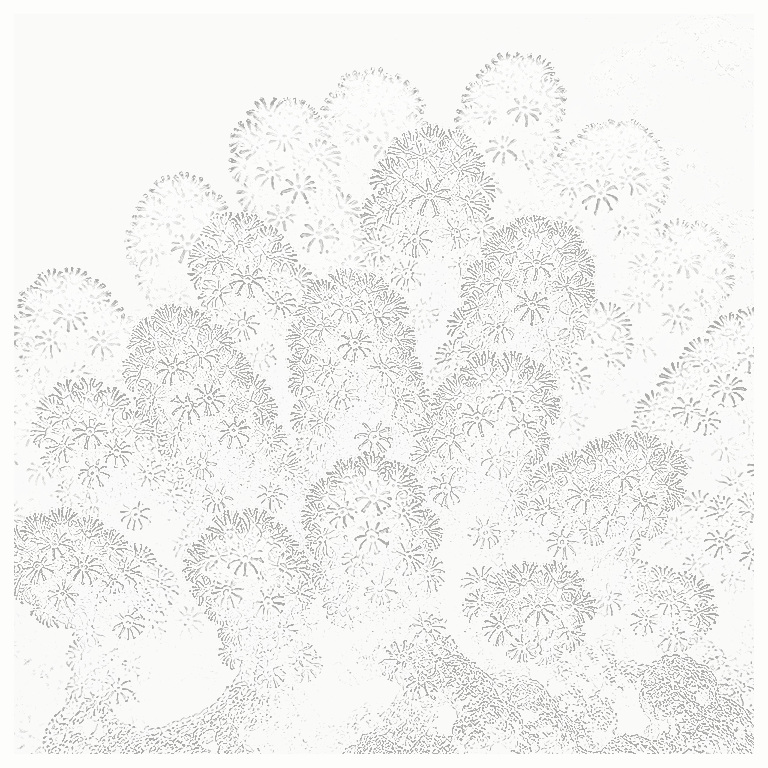 Reference image for Colt Coral