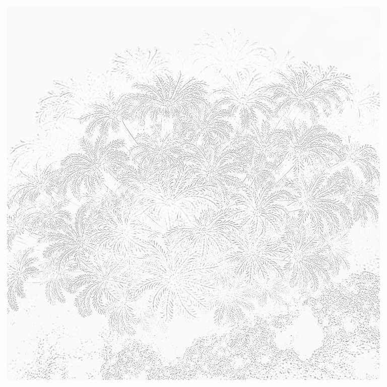 Reference image for Other Soft Coral
