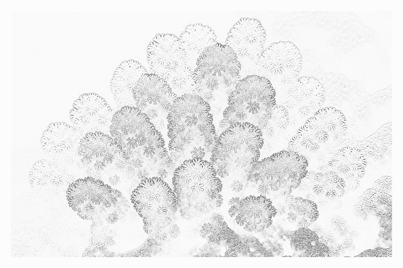 Reference image for Tree Soft Corals