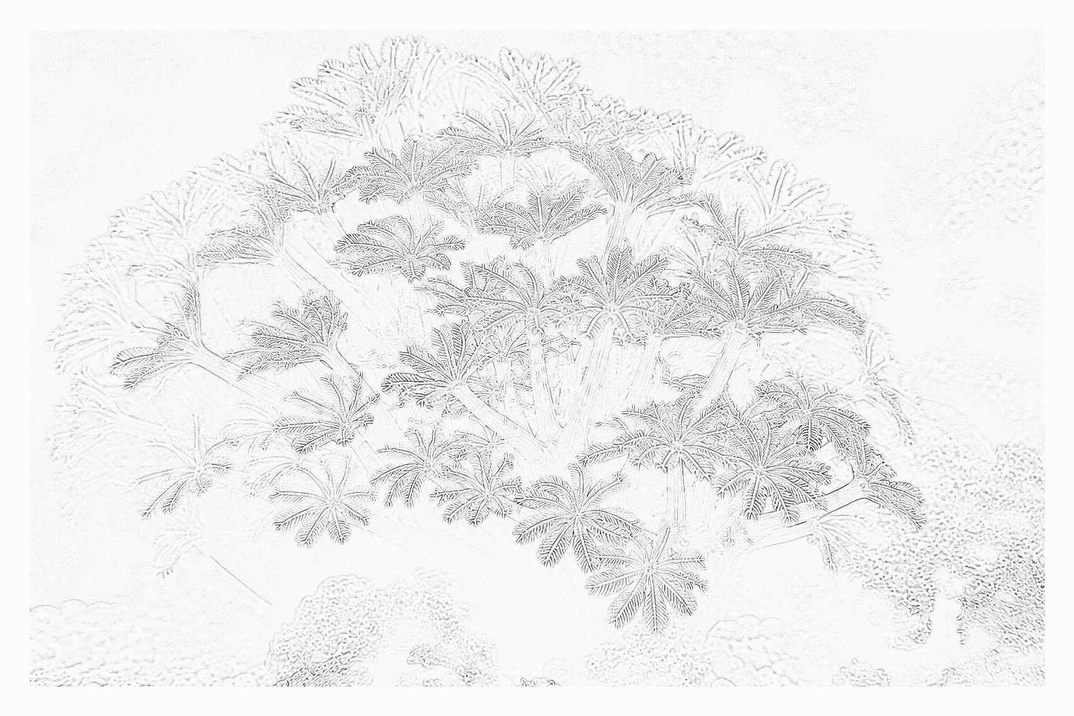 Reference image for Xenia