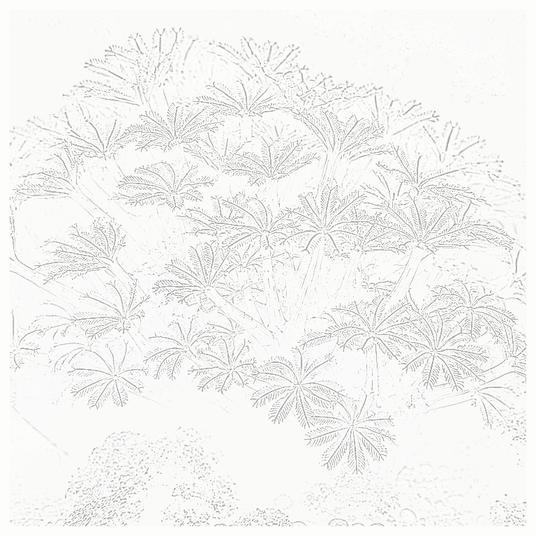 Reference image for Xenia