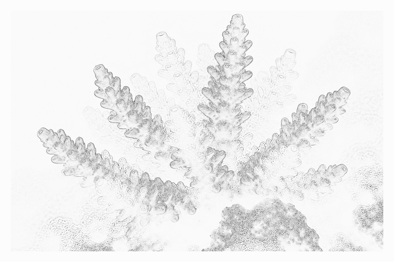 Reference image for SPS