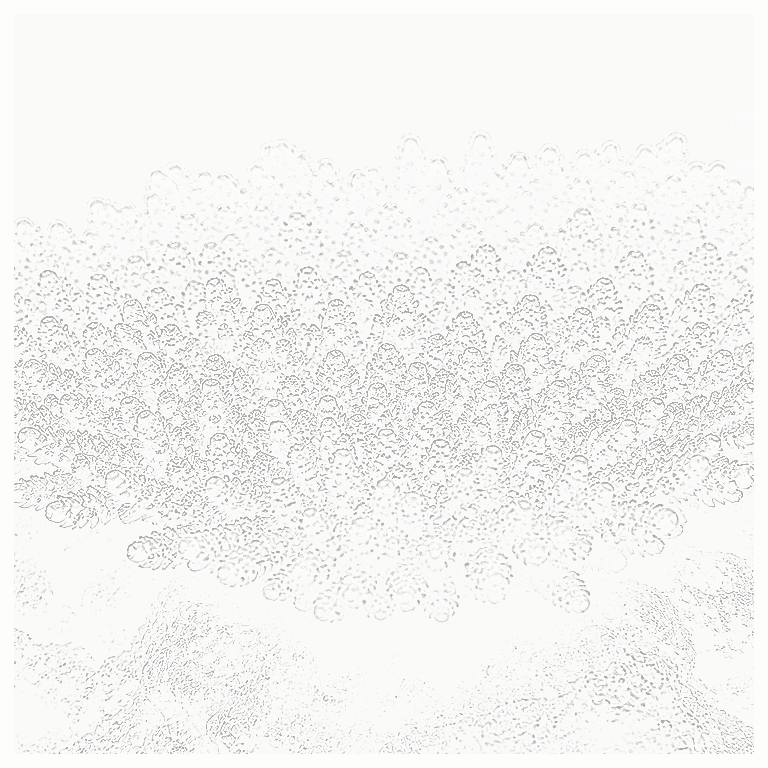 Reference image for Acropora Table