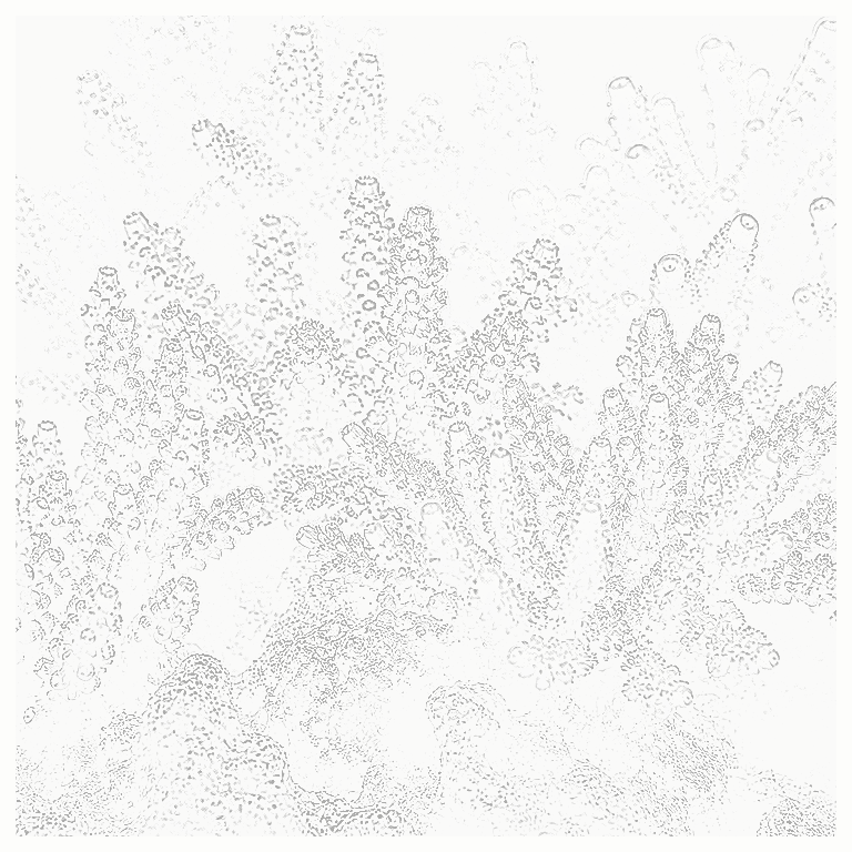 Reference image for Branching SPS