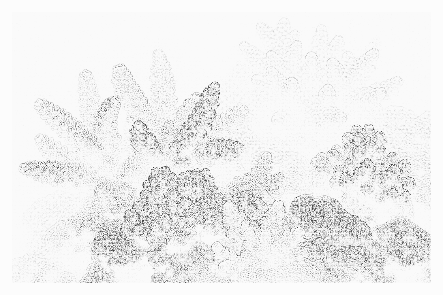 Reference image for Other SPS