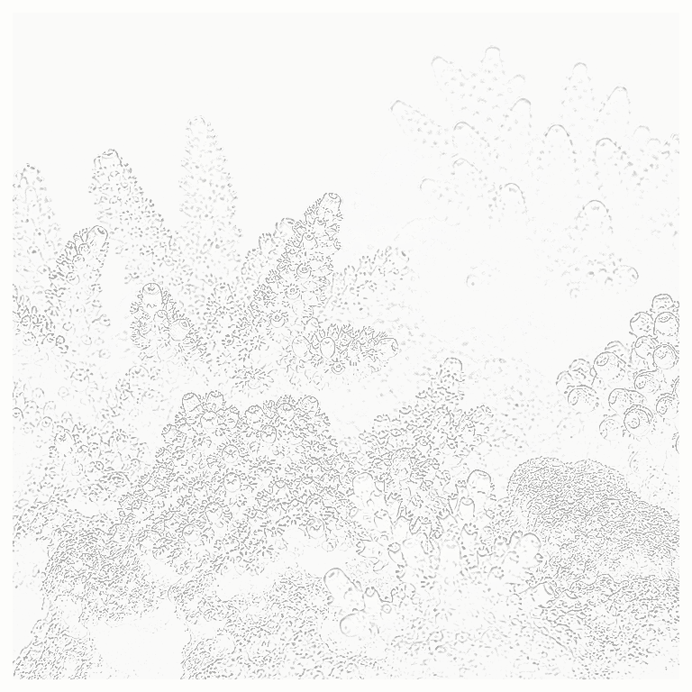 Reference image for Other SPS