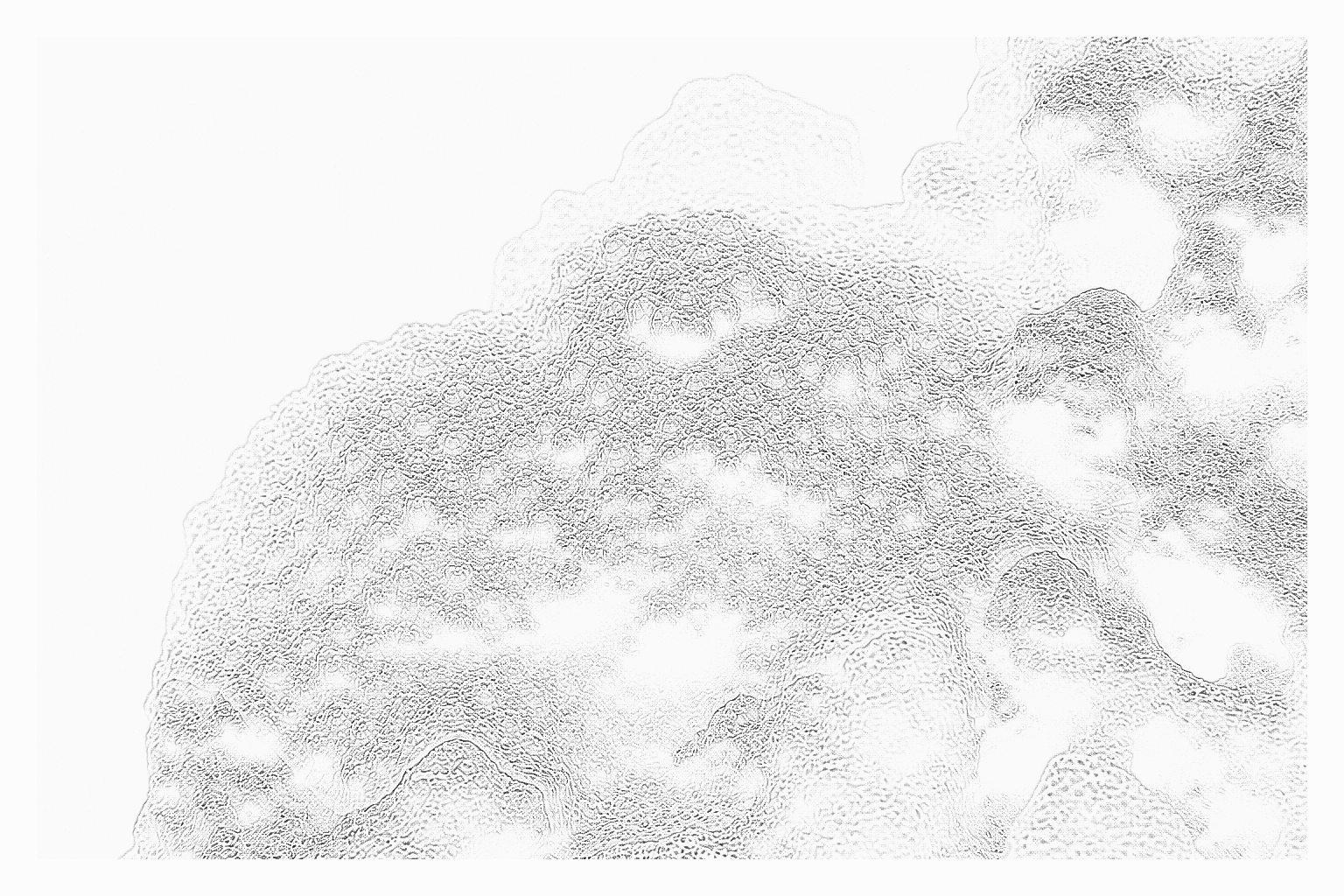 Reference image for Psammocora