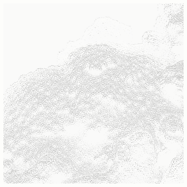 Reference image for Psammocora