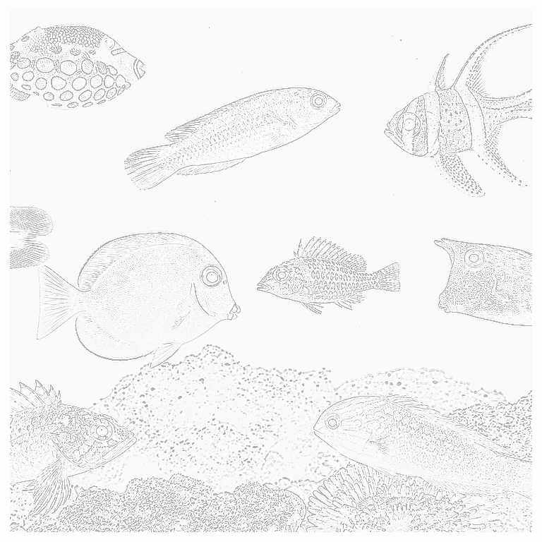 Reference image for Angler