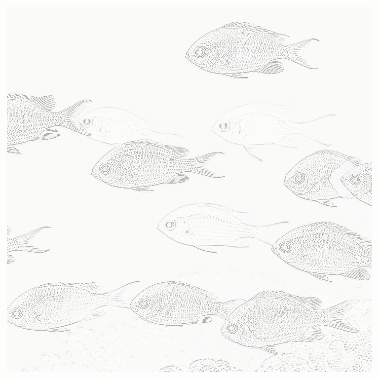 Reference image for Green Chromis