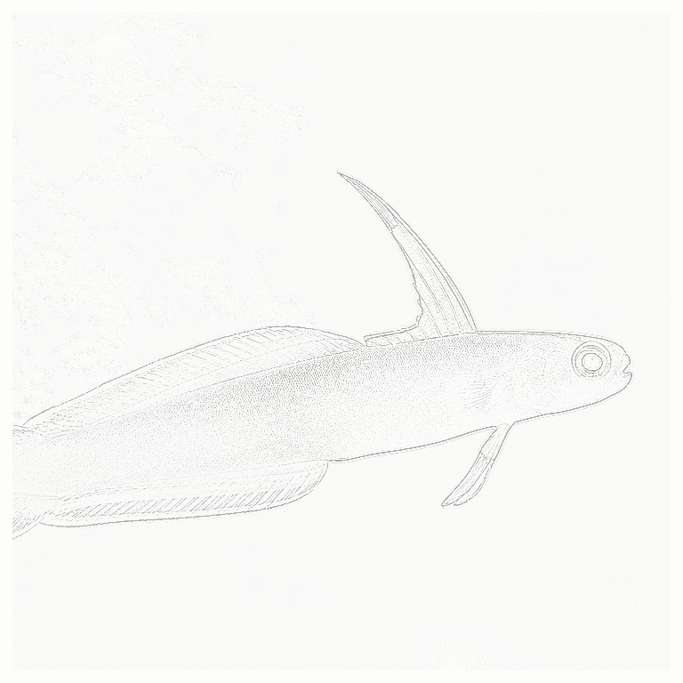 Reference image for Purple Firefish
