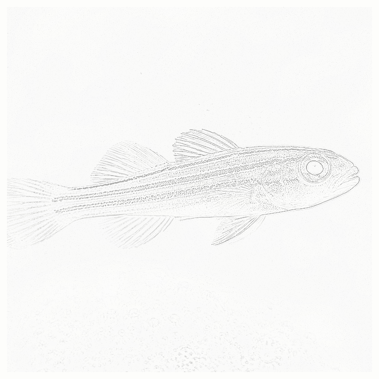 Reference image for Gobies