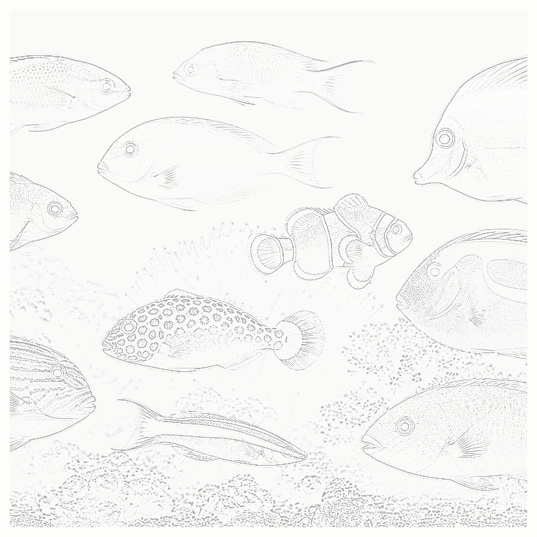 Reference image for Fish