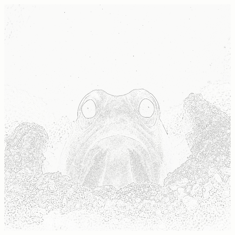 Reference image for Jawfish