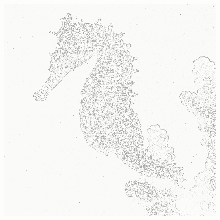 Reference image for Seahorses