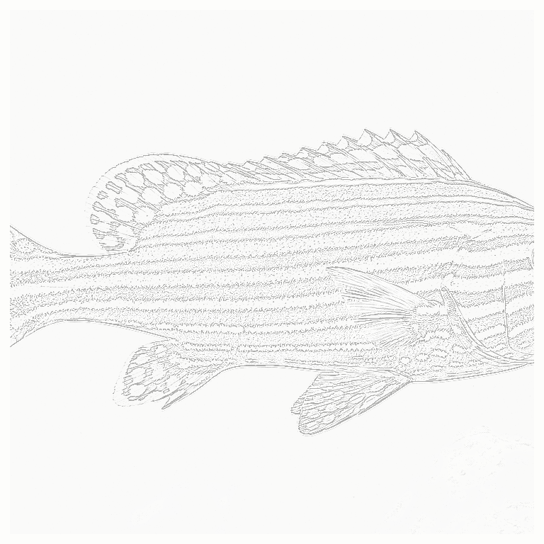 Reference image for Sweetlips