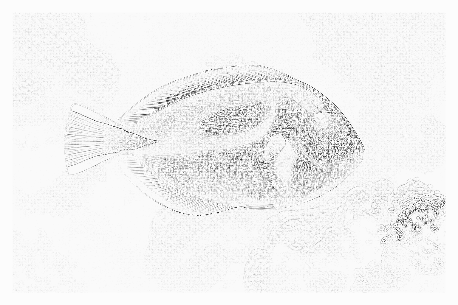 Reference image for Tangs