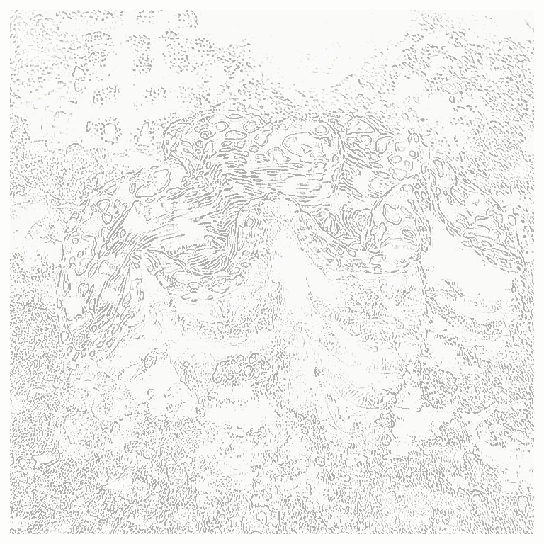 Reference image for Clams