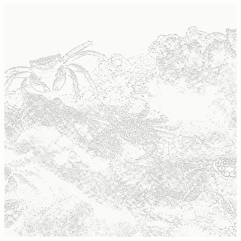Reference image for Lobsters