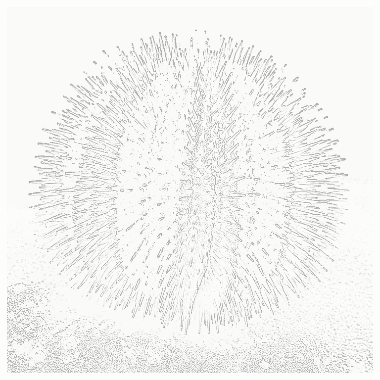Reference image for Tuxedo Urchin