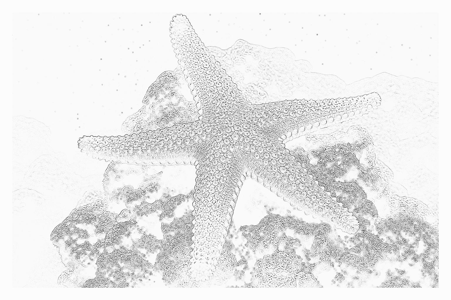 Reference image for Stars