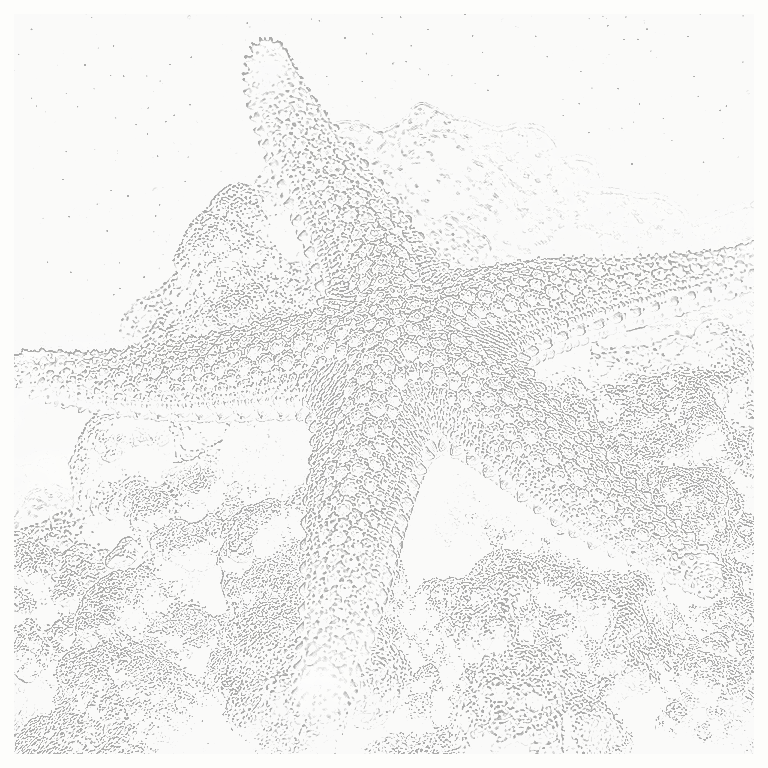 Reference image for Stars