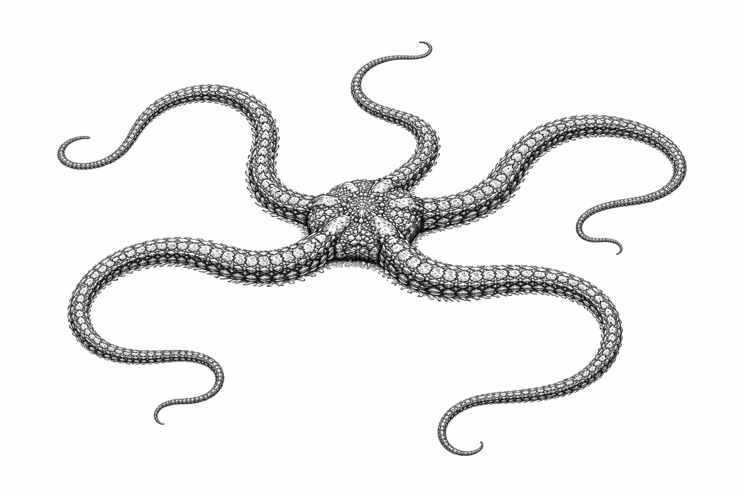Serpent Star