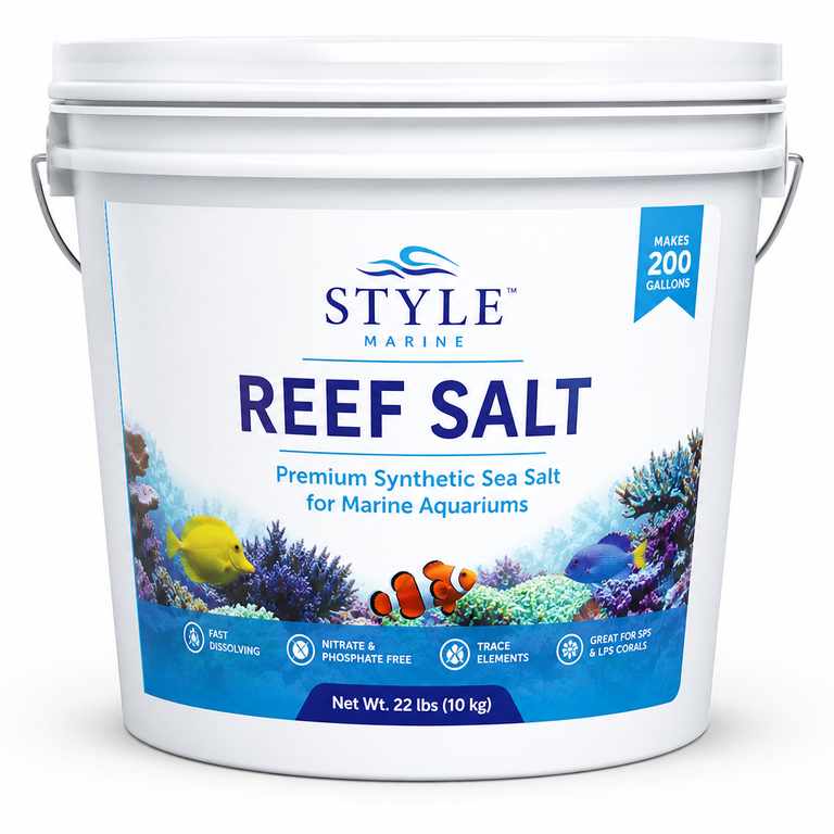 Salt and Maintenance