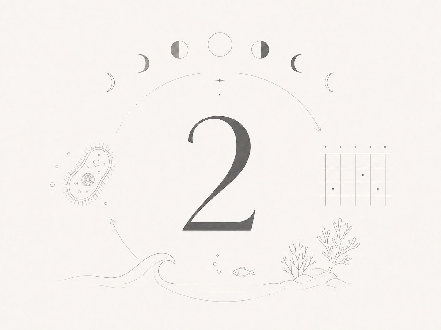 2
